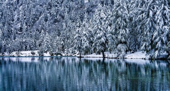 EUA Declaram IA da Anthropic 'Risco Inaceitável' para o Exército