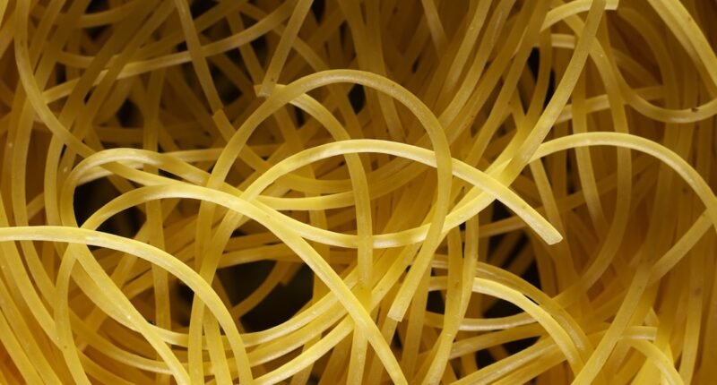 Fibra: O Segredo Simples para um Intestino Feliz e Mais Saúde