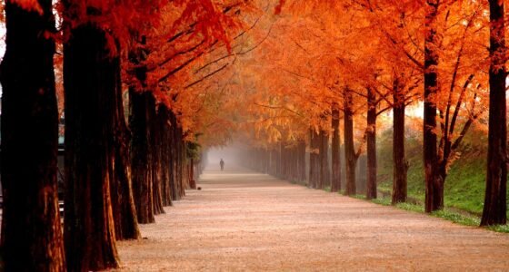 Meta Falha em Conter Anúncios Financeiros Ilegais no Reino Unido, Expondo Milhões a Golpes