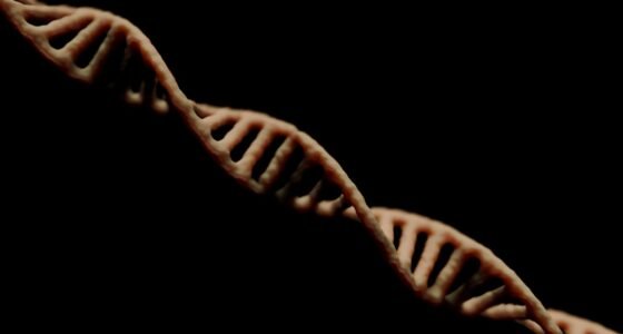 O Fim dos Homens? A Verdade Chocante sobre o Cromossomo Y e a Extinção Masculina