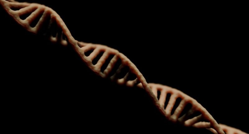 O Fim dos Homens? A Verdade Chocante sobre o Cromossomo Y e a Extinção Masculina