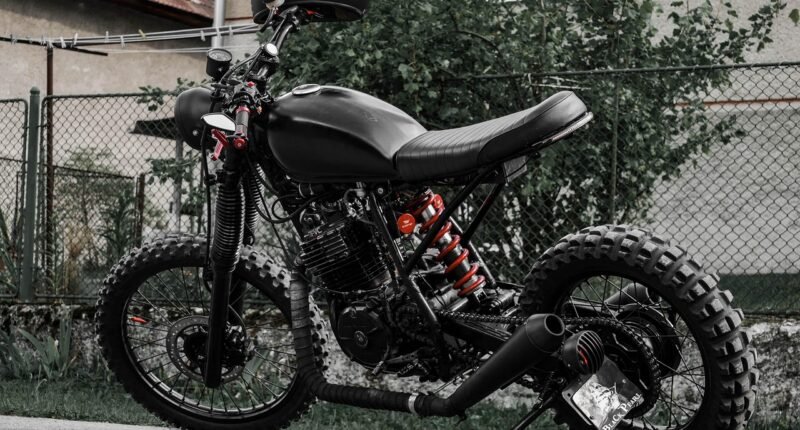 Startup Brasileira Une IA a 'Sexto Sentido' de Morcego e Projeta Faturar R$ 600 Milhões