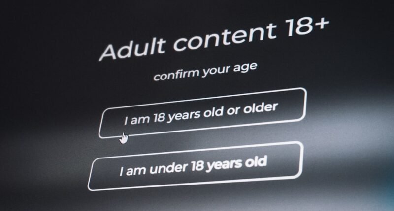 UE Acusa Gigantes do Conteúdo Adulto: Crianças Têm Acesso a Pornografia?