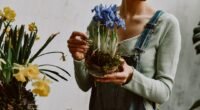 5 Dicas de Especialistas para Fazer Suas Plantas Florescerem Mais e Mais Bonitas
