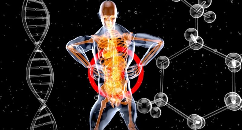 As Formas Mais Dolorosas de Morrer: O Que a Ciência Revela