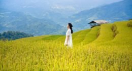 Astronautas da Artemis 2 Choram ao Batizar Cratera na Lua em Homenagem Emocionante