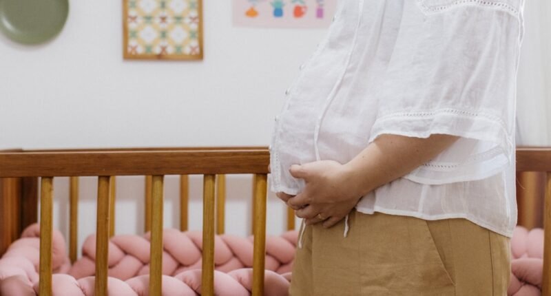 Bebês Neandertais: Gigantes desde o Berço e com Crescimento Acelerado, Entenda o Porquê