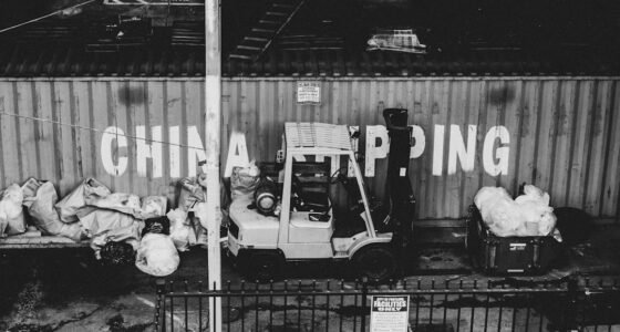 China Domina a IA 'Com Braço e Perna': Por Que Nossos Robôs Dependem Deles?