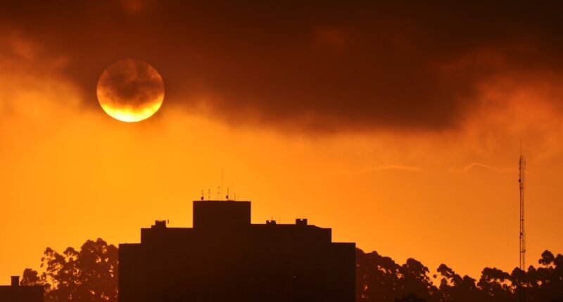 Chuva de Meteoros Líridas: Veja Como Observar o Espetáculo Celeste Nesta Madrugada em Todo o Brasil!
