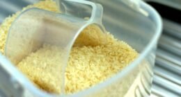 Errou no Sal? Truques Simples Salvam Seu Arroz e Evitam Desperdício!