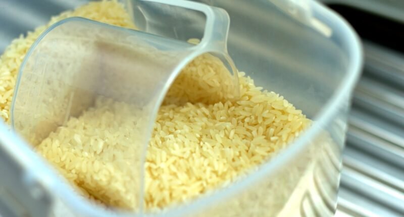 Errou no Sal? Truques Simples Salvam Seu Arroz e Evitam Desperdício!