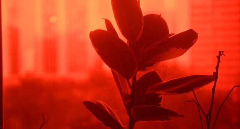 Flashes Vermelhos no Céu do RS: Desvendando o Fenômeno Raro dos Sprites Atmosféricos