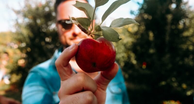 John Ternus Assume Apple: O Desafio Crucial de Liderar a Gigante na Era da IA