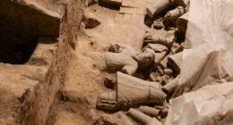 Revolução Arqueológica: IA Recria Imagem Inédita de Vítima de Pompeia