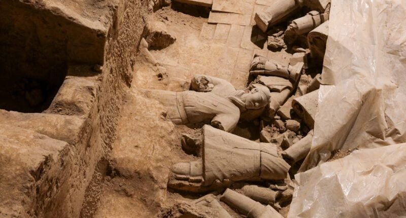 Revolução Arqueológica: IA Recria Imagem Inédita de Vítima de Pompeia