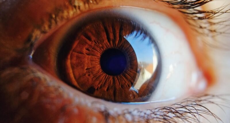 Desvendando a Célula Ocular de 'Carga Lenta' que Sincroniza Seu Relógio Biológico