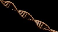 DNA Revela: Infiltração Gradual e Miscigenação Redefinem a Queda do Império Romano