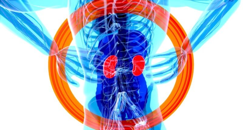 Endometriose: Dor Intensa Pode Indicar Doença Complexa e Atingir Outros Órgãos