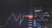 Ibovespa Desafia Baixa Liquidez e Fecha em Alta: O Que Impulsionou o Mercado?