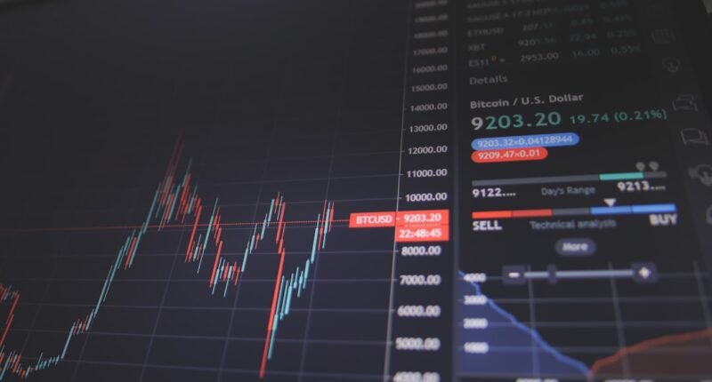 Ibovespa Desafia Baixa Liquidez e Fecha em Alta: O Que Impulsionou o Mercado?
