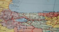 Mapa do Nariz: Receptores Olfativos Têm Posição Previsível, Revela Estudo Inovador
