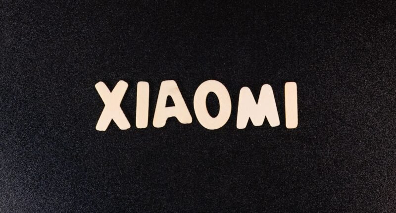 O Encontro "Estranho" entre Elon Musk e o CEO da Xiaomi que Viralizou: Entenda o Que Aconteceu