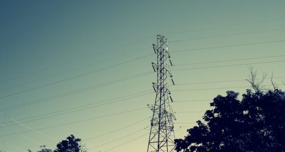 ONS Altera Parecer no Último Dia e Garante Reserva Bilionária de Energia para Data Center de IA