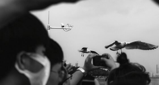 Shenzhen: De Pequena Vila de Pescadores à Capital Mundial dos Drones e o 'Vale do Silício Chinês'