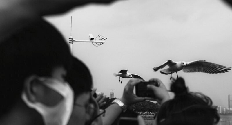 Shenzhen: De Pequena Vila de Pescadores à Capital Mundial dos Drones e o 'Vale do Silício Chinês'