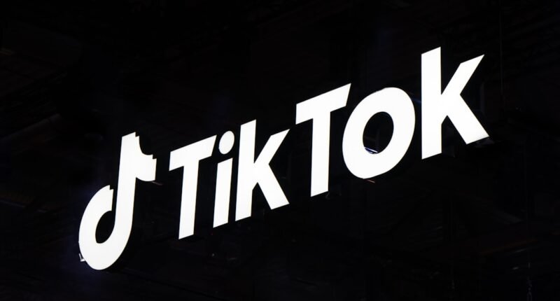 TikTok Impulsiona o PIB Brasileiro: Empresas Adicionam Até R$ 37,3 Bilhões à Economia