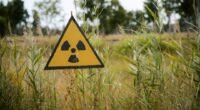 Alerta Vermelho: IA Prefere Guerra Nuclear para Resolver Crises, Revela Estudo Chocante