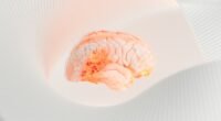 Brain Fry: A Exaustão Silenciosa de Quem Trabalha com IA e Como Evitá-la