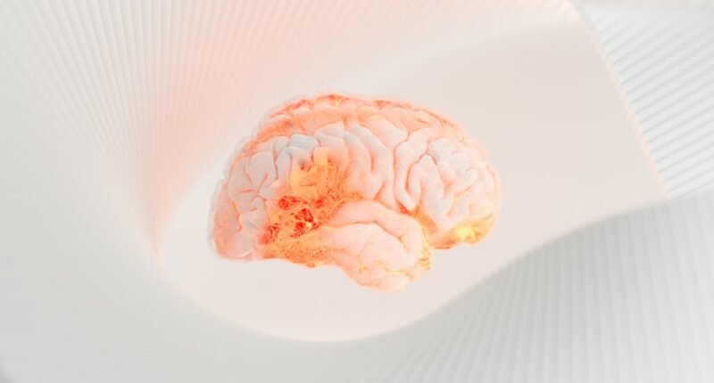 Brain Fry: A Exaustão Silenciosa de Quem Trabalha com IA e Como Evitá-la