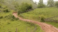 Descoberta Espetacular: Pesquisadores Mapeiam 350 km de Estradas Pré-Colombianas no Acre