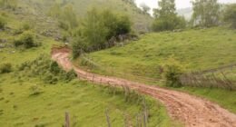 Descoberta Espetacular: Pesquisadores Mapeiam 350 km de Estradas Pré-Colombianas no Acre