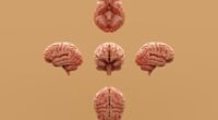 Neurologistas Revelam: 5 Hábitos que Estão Destruindo a Saúde do Seu Cérebro