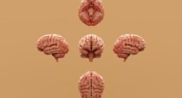 Neurologistas Revelam: 5 Hábitos que Estão Destruindo a Saúde do Seu Cérebro