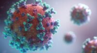 O Mistério Persiste: Ainda Não Sabemos a Origem do Vírus do Atual Surto de Ebola