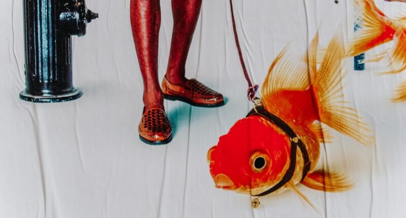 Por Que os Peixes Não Têm Pelos? A Surpreendente Resposta da Evolução
