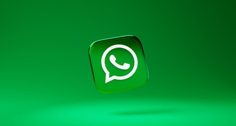 WhatsApp Adota Nome de Usuário: Saiba Como Reservar o Seu e Diga Adeus ao Número!