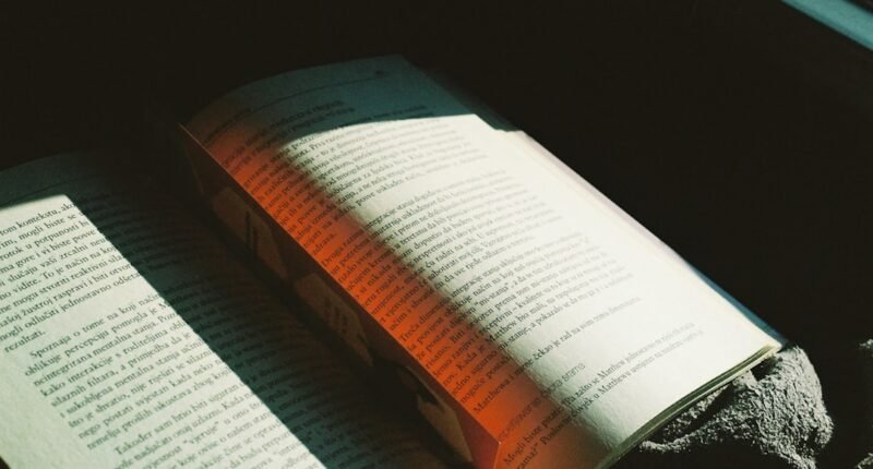 A Revolução da Leitura: Como a IA que conversa com livros desafia os direitos autorais