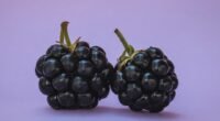 As 4 Características Inesquecíveis dos BlackBerry que Deixaram Saudades
