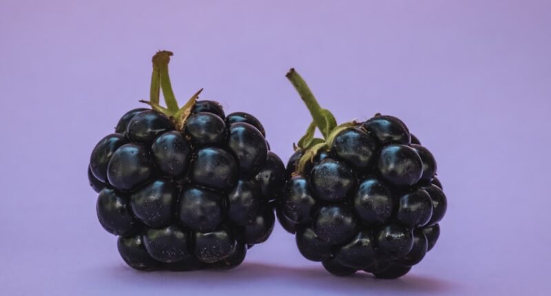 As 4 Características Inesquecíveis dos BlackBerry que Deixaram Saudades