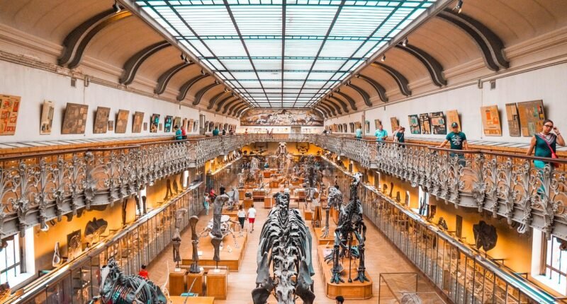 Fóssil Esquecido por 40 Anos Revela o Primeiro Dinossauro da Antártida