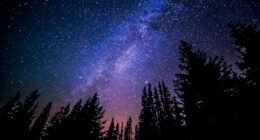 O Fim do Céu Noturno? Acúmulo de Satélites é 'Ameaça Existencial' à Astronomia