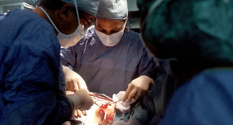 Robôs Humanoides Realizam Cirurgia em Animais Vivos Pela Primeira Vez: O Futuro da Medicina Chegou?
