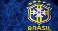 Serasa x Unico: Por Que o Maior Roubo de Dados Biométricos do Brasil Preocupa?