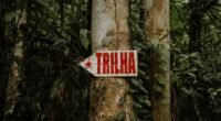 Tadalafila como Pré-Treino: Os Riscos Ocultos para Sua Saúde e Desempenho