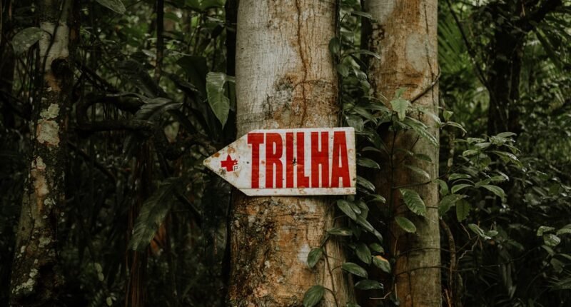 Tadalafila como Pré-Treino: Os Riscos Ocultos para Sua Saúde e Desempenho
