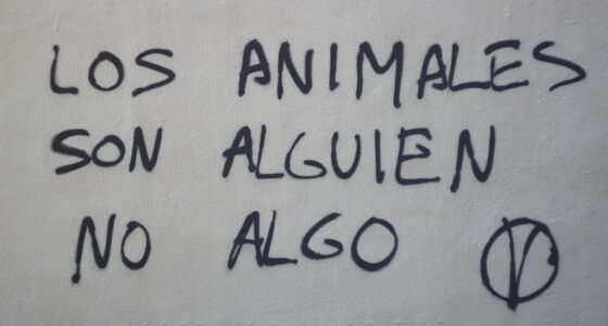 Atitudes Que Deveriam Ser Normais (Mas Ainda Geram Julgamento)